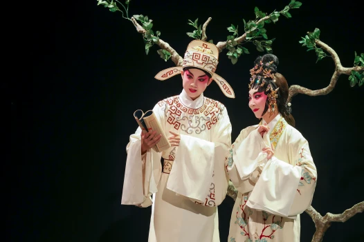 Discovering Chinese Opera