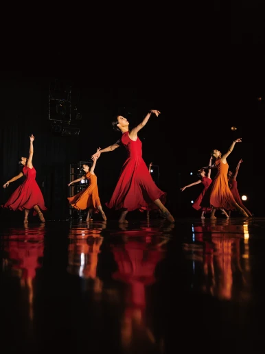 Master of Fine Arts in Dance